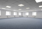 Beech Forestskylight-replacements-2.jpg; ?>
