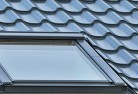Beech Forestskylight-replacements.jpg; ?>